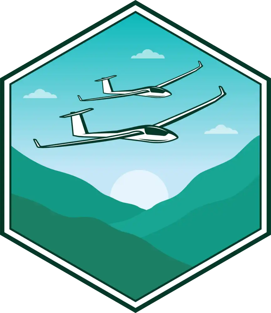 Team Flyer